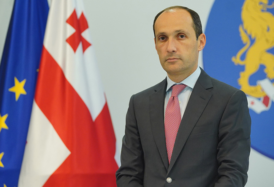 Levan Davitaşvili: Gürcüstan demokratik yolla inkişaf edir və Avrointeqrasiyanı lazımi səviyyədə davam etdirir