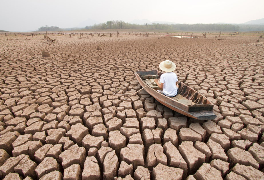 World Weather Attribution: Климатический кризис подверг людей дополнительным шести неделям опасной жары в 2024 году