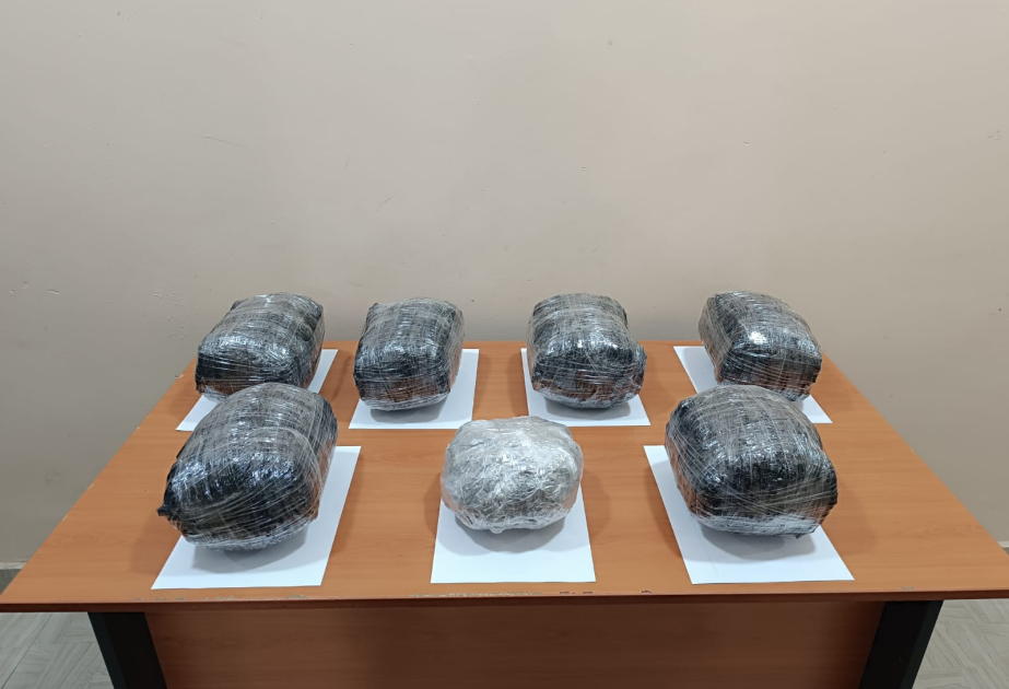 Предотвращен ввоз на территорию страны крупного количества наркотических средств