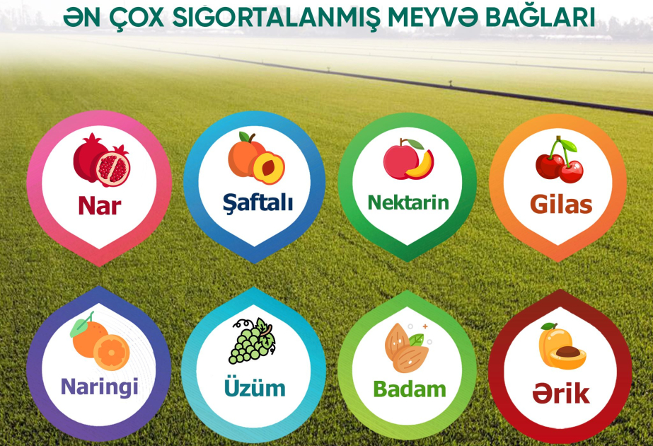 Aqrar Sığorta Fondunun ödənişləri 2 dəfə artıb