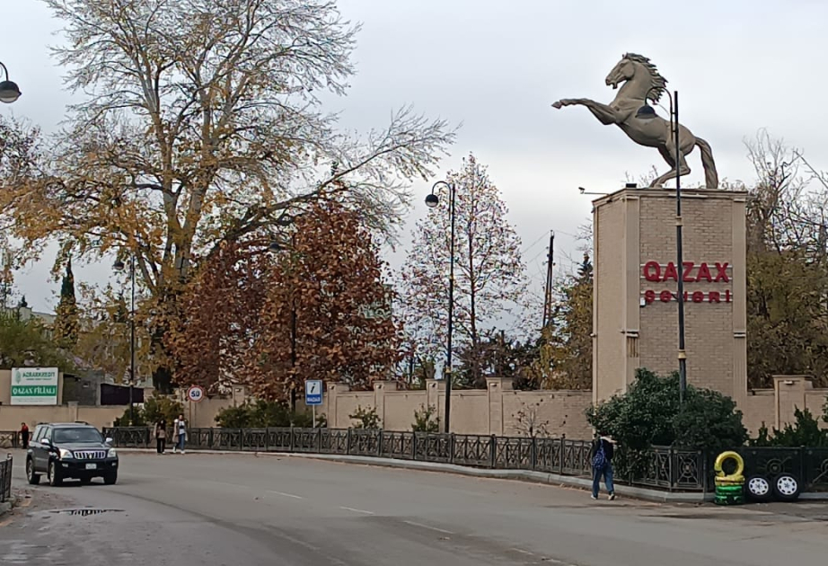 Qazaxda 43 yaşlı şəxs vanna otağında zəhərlənərək ölüb
