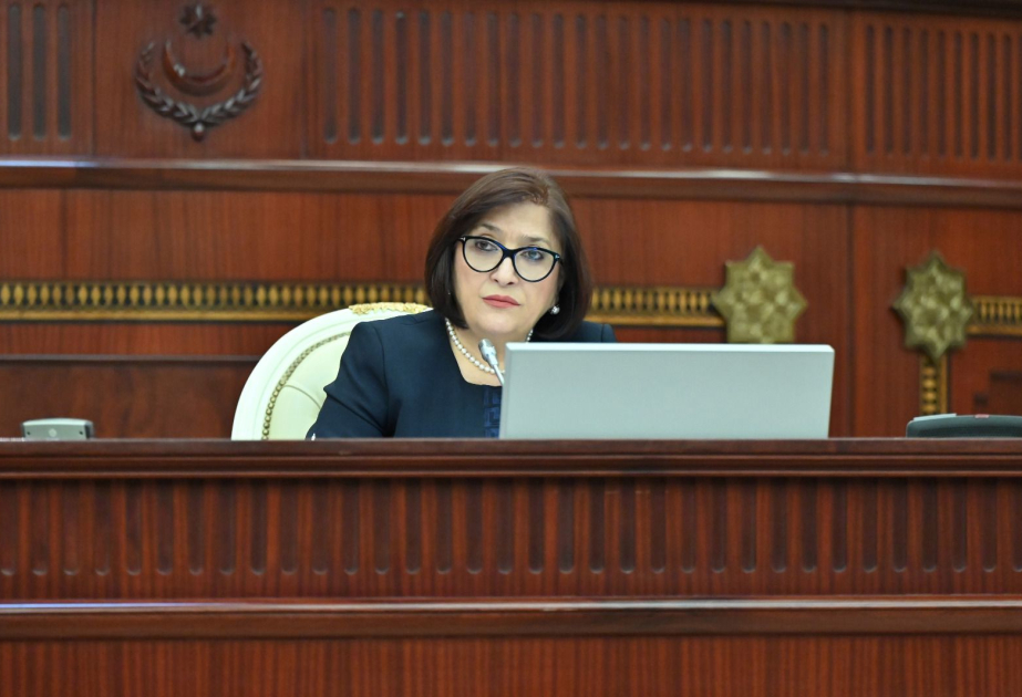 Sahibə Qafarova: “Konstitusiya və Suverenlik İli” milli dövlətçilik şüurunun daha da möhkəmlənməsinə töhfə verəcək