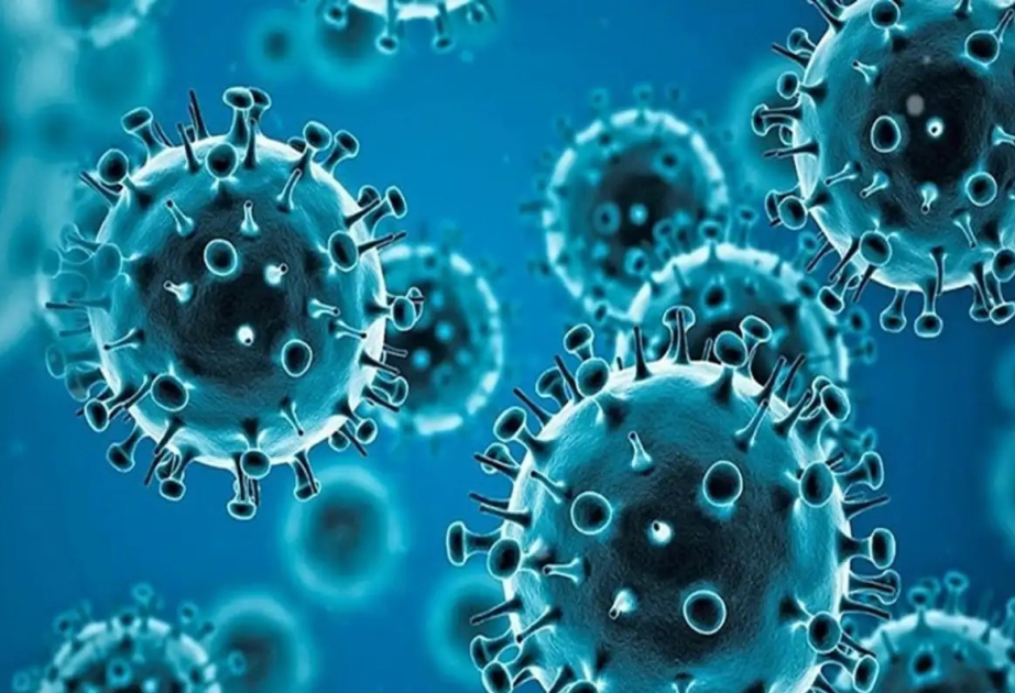 Hindistanda metapnevmovirus infeksiyasına yoluxma halı qeydə alınıb