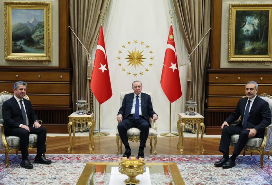 Türkiyə Prezidenti ilə İraq Kürdüstan Bölgəsinin Baş naziri bölgədəki vəziyyəti müzakirə ediblər