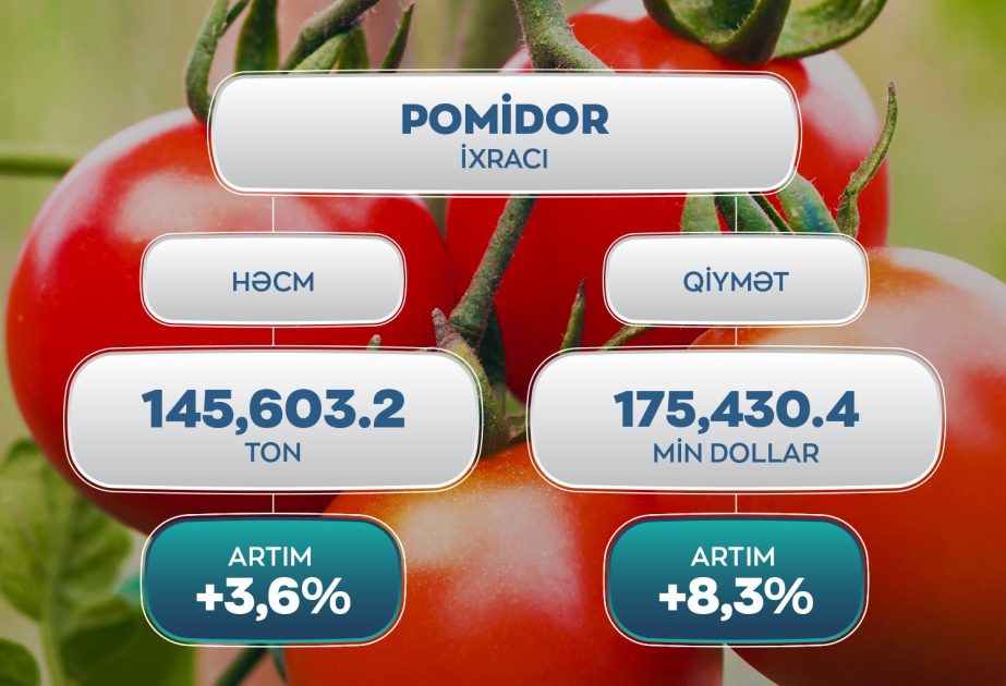 تسجيل زيادة في صادرات الطماطم من أذربيجان إلى الأسواق الخارجية بنسبة 3.6 % خلال العام الماضي