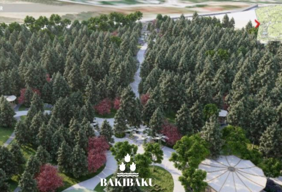 Yasamal rayonunda yerləşən köhnə ağaclıq ərazidə park salınır