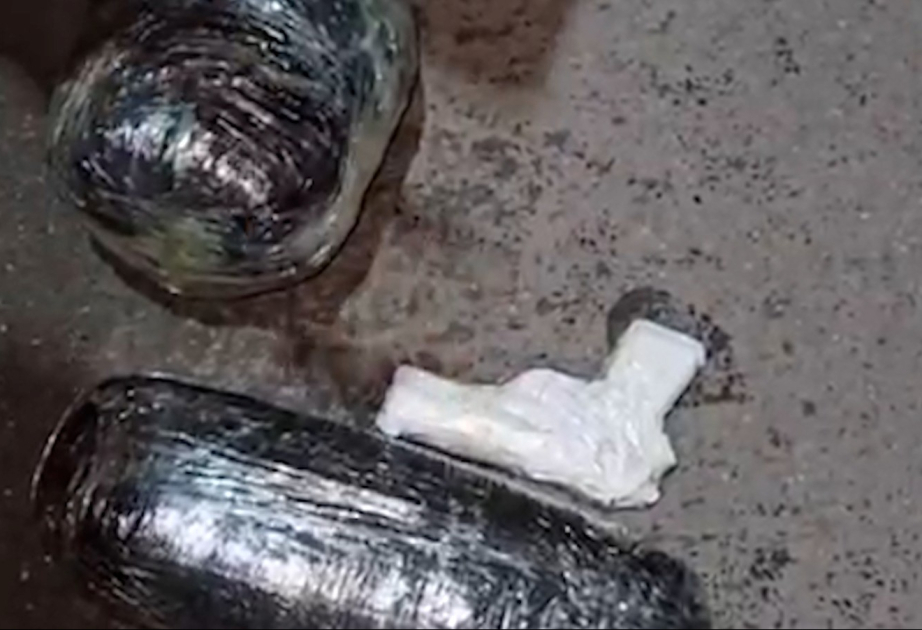 Polis Nərimanovda əməliyyat keçirib, 11 kiloqram narkotik vasitə və 9 odlu silah aşkarlanıb VİDEO