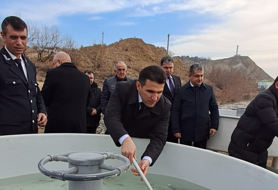 Kür çayına balıq körpələri buraxılıb