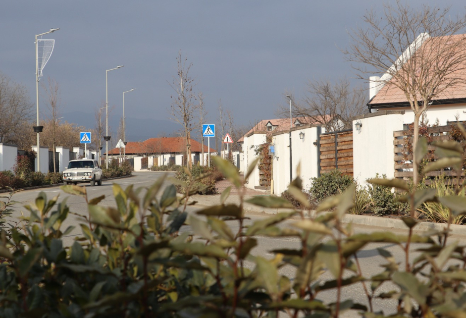 Xocalı şəhəri yaşıllığa bürünür FOTO