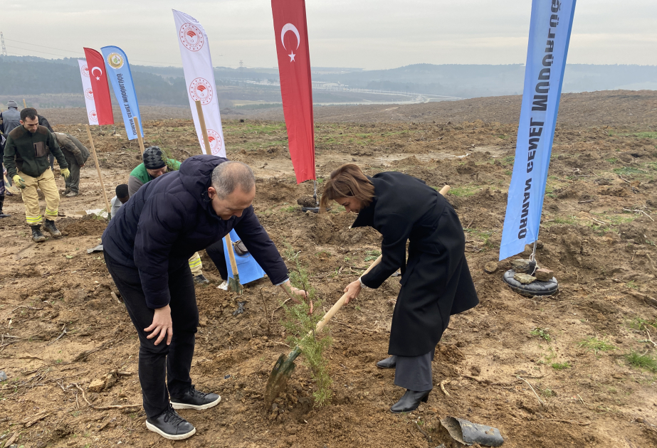 Baş konsulluğumuzun təşəbbüsü ilə İstanbulda ağacəkmə aksiyası keçirilib VİDEO