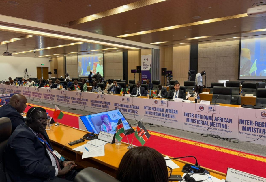 Se discute la cooperación en el ámbito de la juventud y el deporte entre Azerbaiyán y Gambia