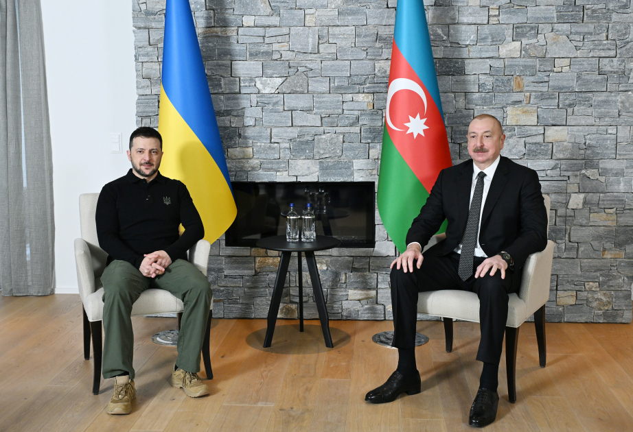 Entretien des présidents azerbaïdjanais et ukrainien à Davos VIDEO