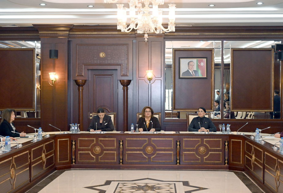 Milli Məclisin Ailə, qadın və uşaq məsələləri komitəsinin cari ilin yaz sessiyasında ilk iclası olub
