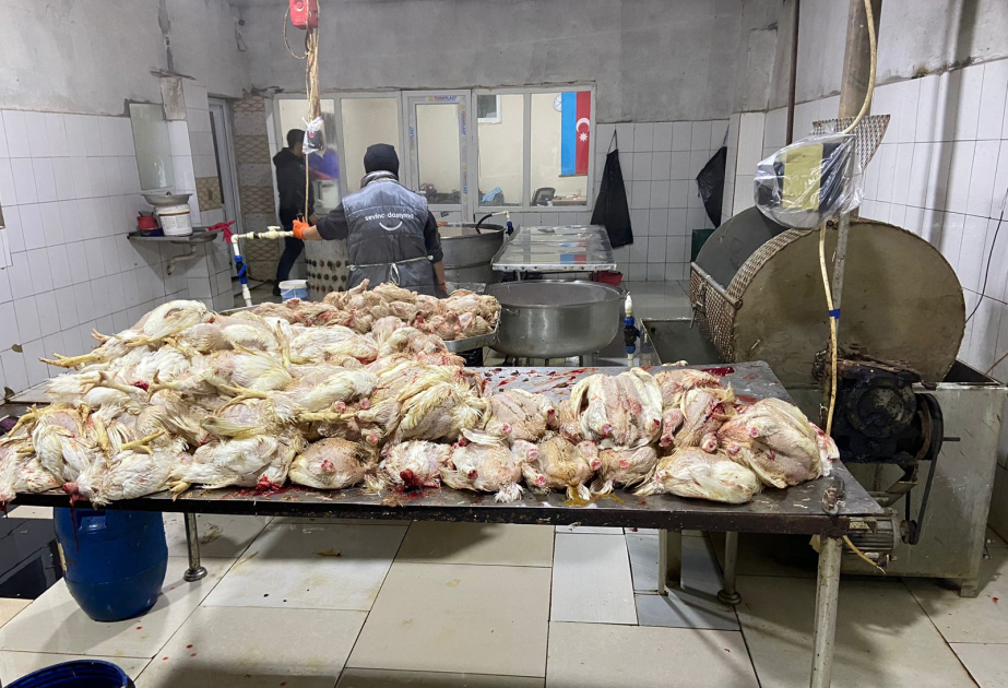 Sabunçuda ev quşlarının kəsimi məntəqəsinin fəaliyyəti məhdudlaşdırılıb