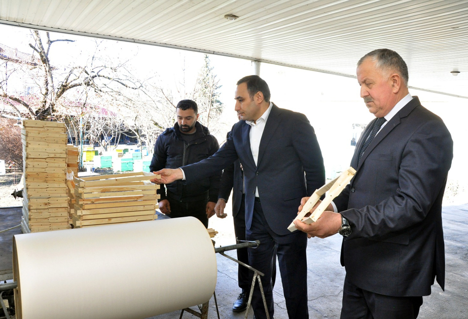Nazir müavini Zaqatalada vətəndaşları qəbul edib, təsərrüfatlara baş çəkib