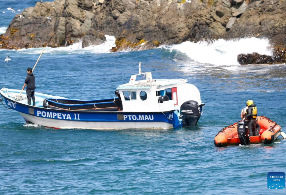 Death toll hits 6 after tour boat capsizes in south Chile