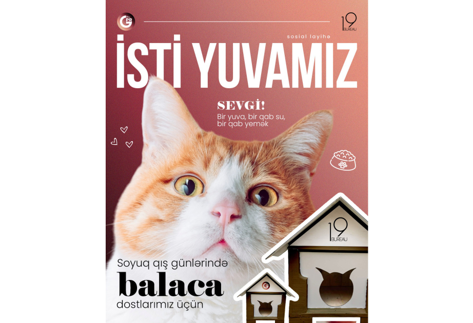 ®  Social project: "Our Warm Home" - houses for cats