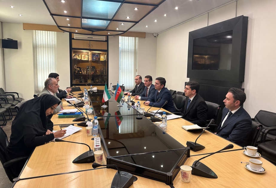 Azerbaijani official attends First High-Level Committee Meeting of ECO Deputy Foreign Ministers in Tehran