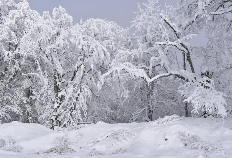 Il neige dans le village de Gryz de la région de Gouba