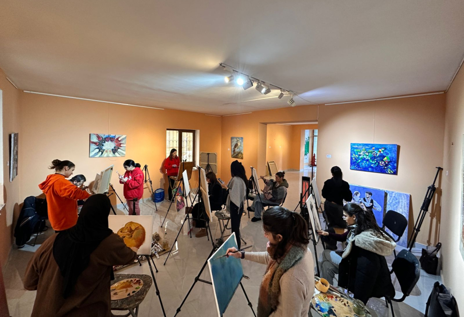 В Баку прошел воркшоп, посвященный проблеме бездомных животных