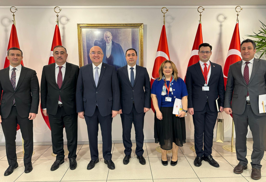 Azərbaycan və Türkiyə XİN rəsmiləri siyasi məsləhətləşmələr aparıblar