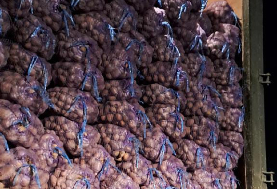 Se destruyen patatas Importadas de Irán por no ser aptas para el consumo