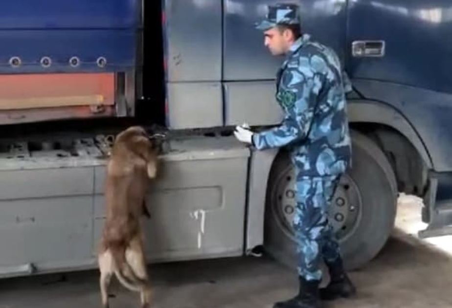 “Culfa” gömrük postunda külli miqdarda psixotrop maddə və narkotik vasitə aşkarlanıb