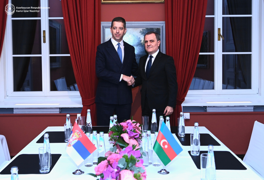 Azerbaijani, Serbian FMs discuss strategic partnership in Munich