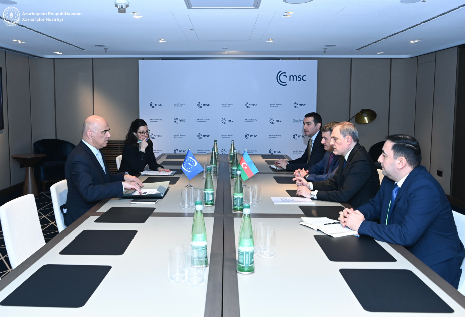 El Ministro de Asuntos Exteriores de Azerbaiyán se reúne con el Secretario General del Consejo de Europa