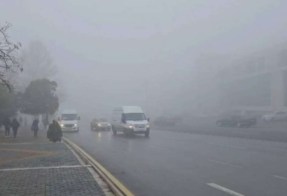 Naxçıvanda DYPİ hava şəraiti ilə əlaqədar yol hərəkəti iştirakçılarına müraciət edib
