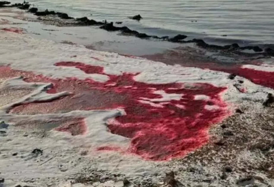 Caspian Sea turns red: Test results announced