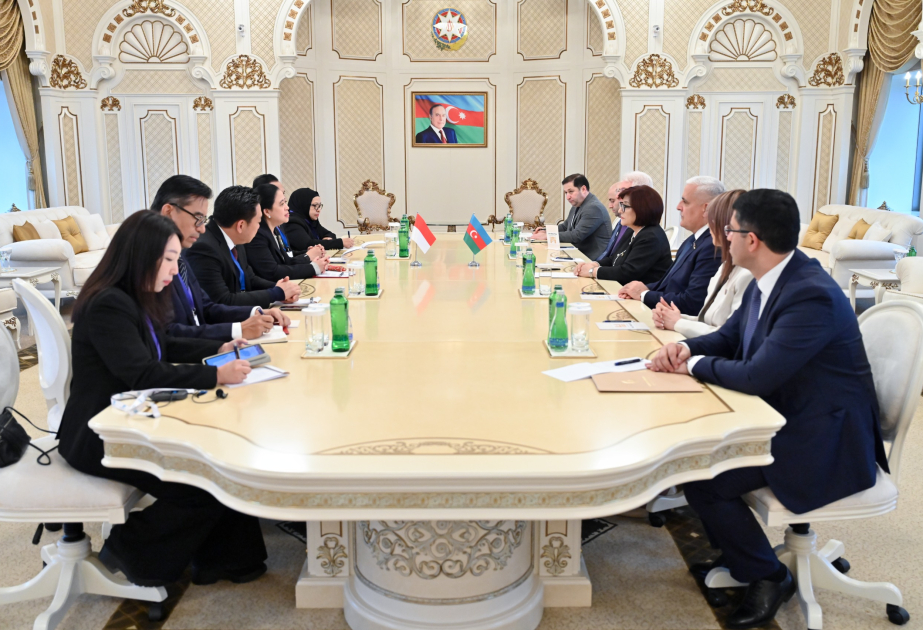 Speaker of Azerbaijani Parliament meets with her Indonesian counterpart