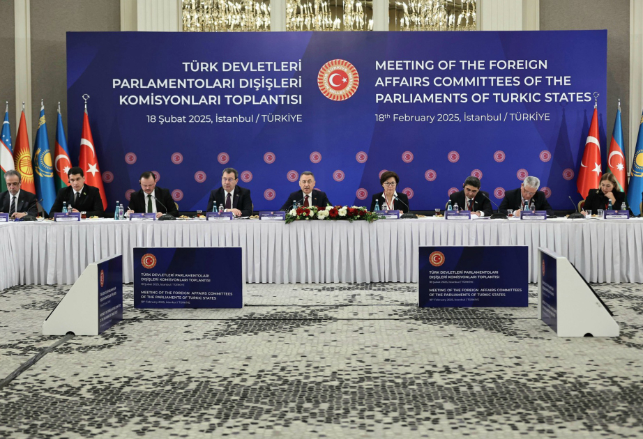 İstanbulda TÜRKPA-nın Xarici Əlaqələr Komissiyalarının ortaq bəyanatı yayımlanıb