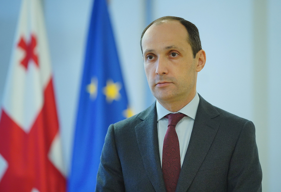 Georgian Economy Minister, Azerbaijani Transport Minister discuss cooperation, future priorities in Tbilisi meeting