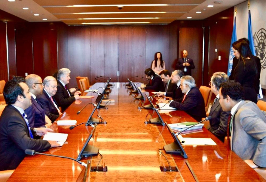 UN Secretary-General and Pakistan’s Deputy Prime Minister meet in New York