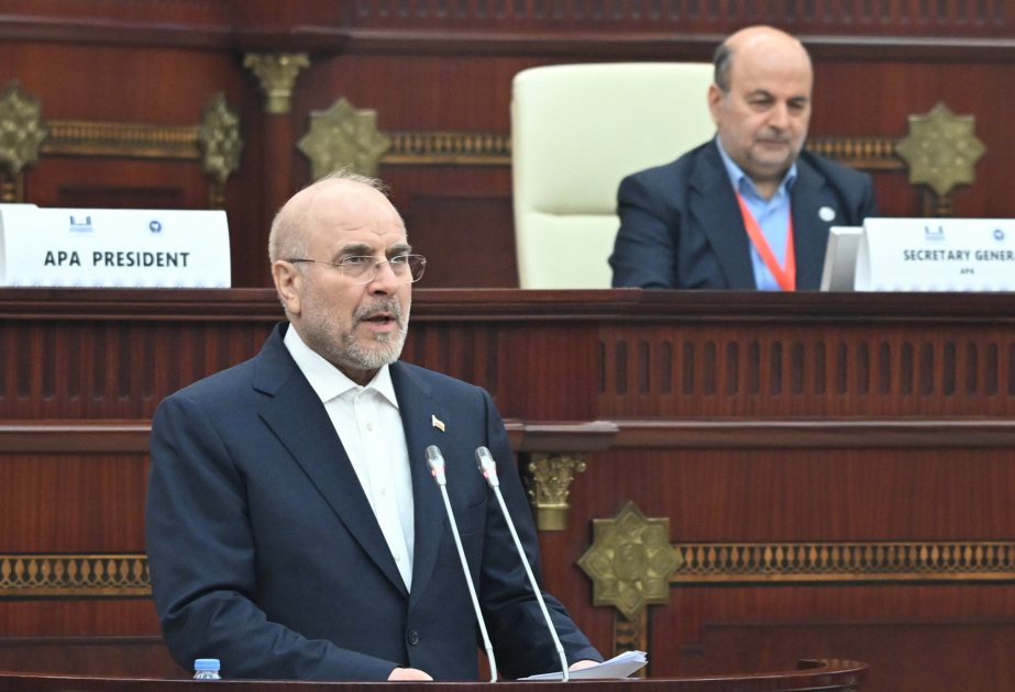 Presidente del Consejo Consultivo Islámico de Irán: “La Solidaridad de las naciones asiáticas contribuirá a la prosperidad futura de la región”
