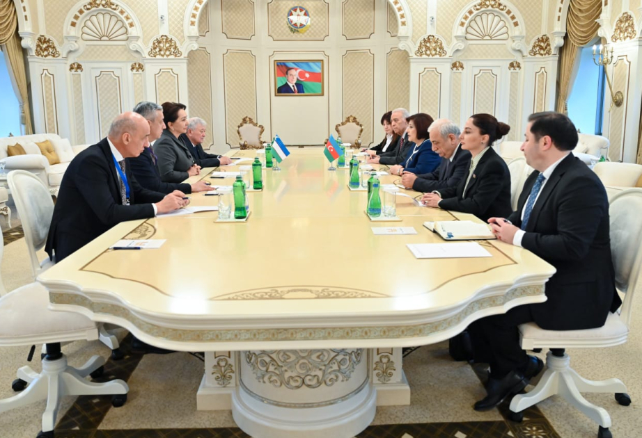 Tanzila Narbayeva commends Azerbaijan’s accomplishments under President Ilham Aliyev’s leadership