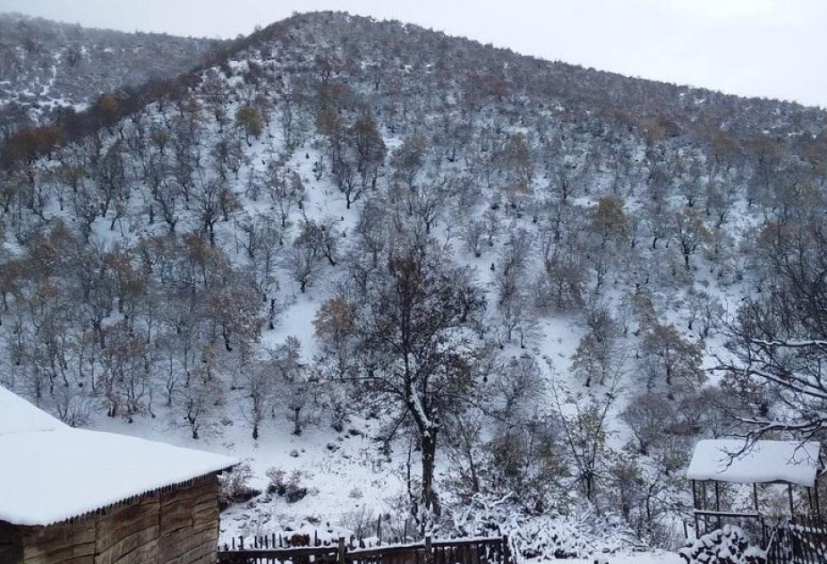 В горных и предгорных районах идет снег - ФАКТИЧЕСКАЯ ПОГОДА