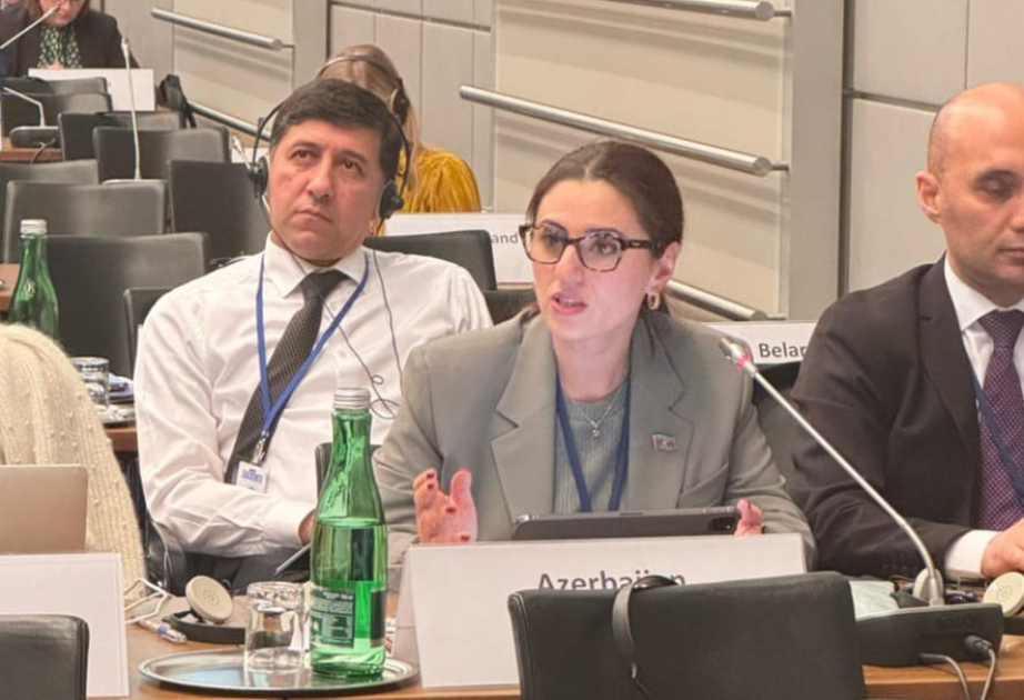 Azerbaijani MP responds to baseless accusations of Armenian MP at OSCE PA winter session