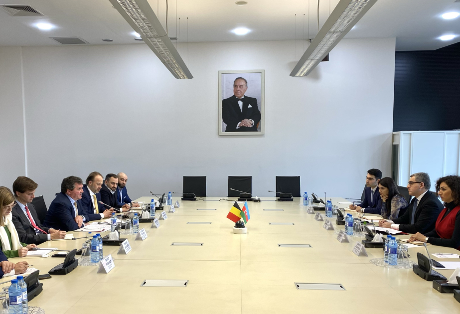 Se discute la organización de misiones empresariales entre Azerbaiyán y Bélgica