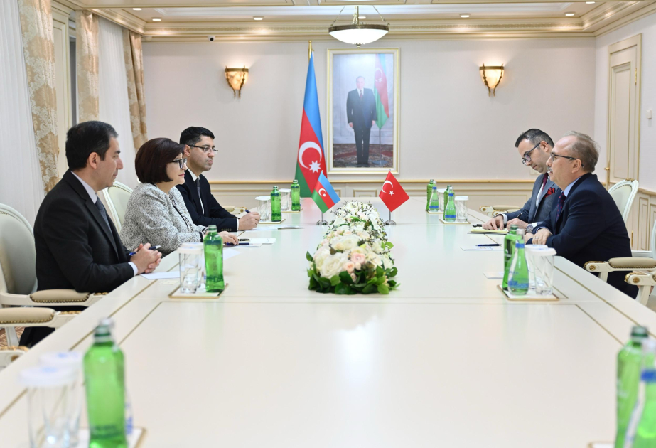 El recién nombrado Embajador de Türkiye en Azerbaiyán visita Milli Majlis