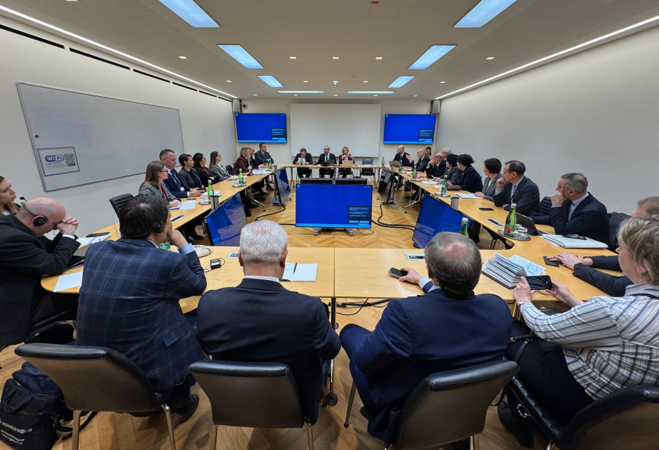 En Viena se celebra la reunión del Grupo de Apoyo a la Ruta de la Seda de la AP de la OSCE