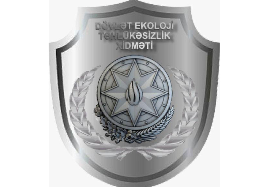Dövlət Ekoloji Təhlükəsizlik Xidməti: Xaçmaz rayonunda qanunsuz ağac kəsintisi faktı aşkar edilib