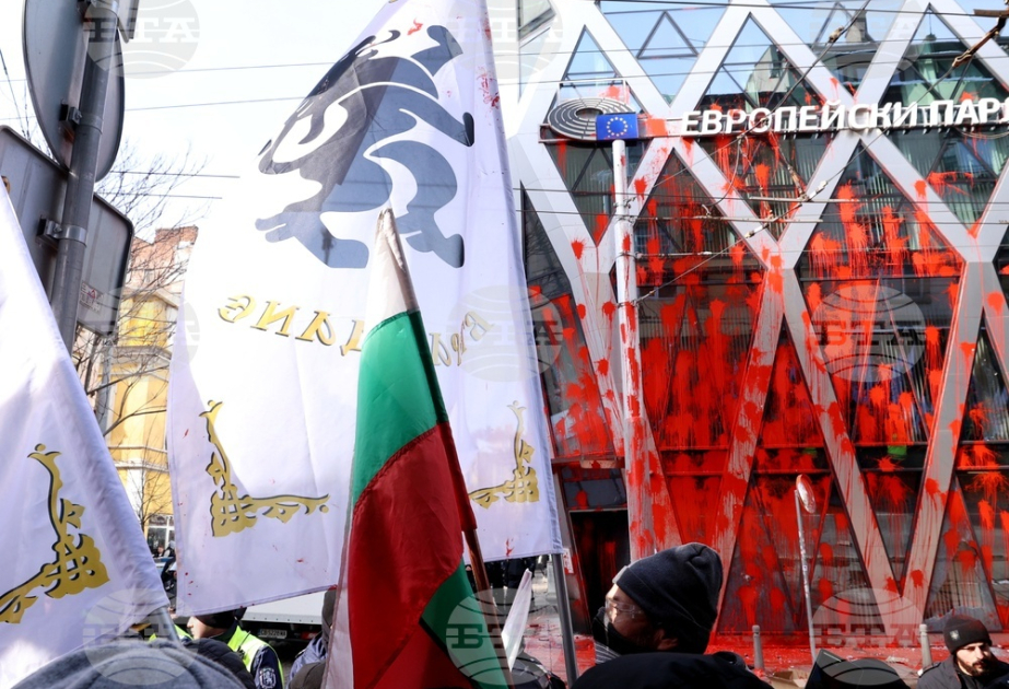 Nine arrested after anti-euro protesters storm European Commission building in Sofia