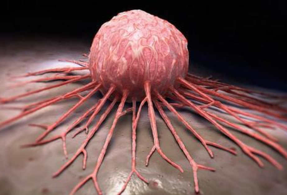 Putting early cancer detection to the test