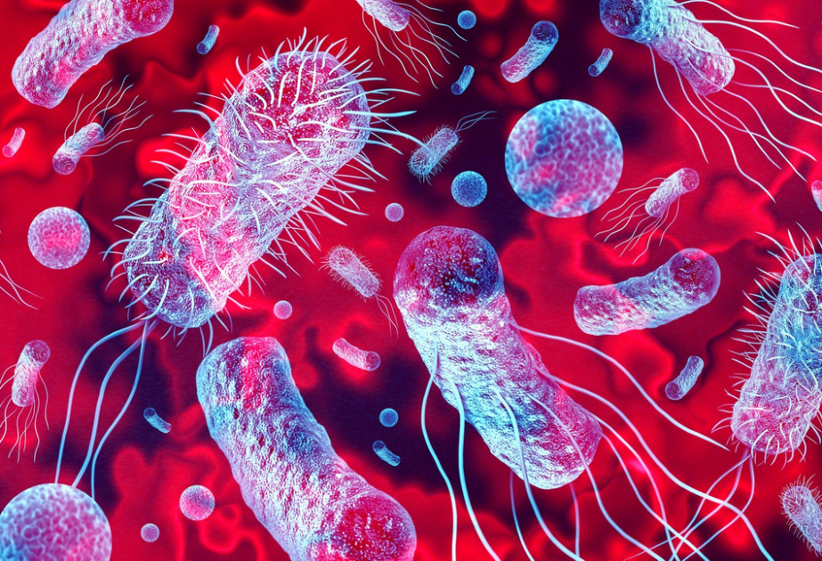 U.S. Listeria outbreak leads to at least 12 deaths