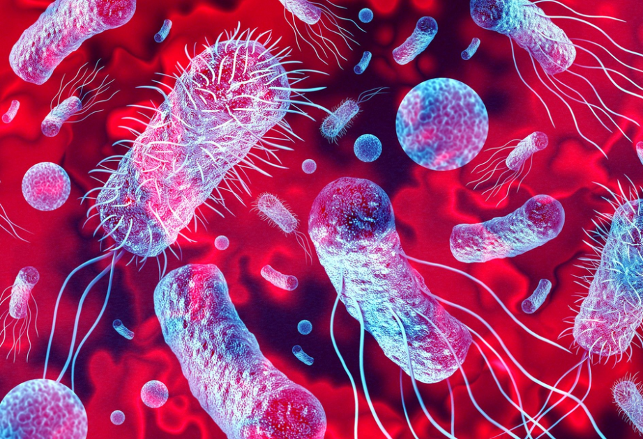 ABŞ-da listerioz epidemiyası azı 12 nəfərin ölümünə səbəb olub