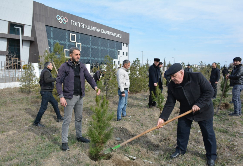 Tərtərdə ağacəkmə aksiyası keçirilib