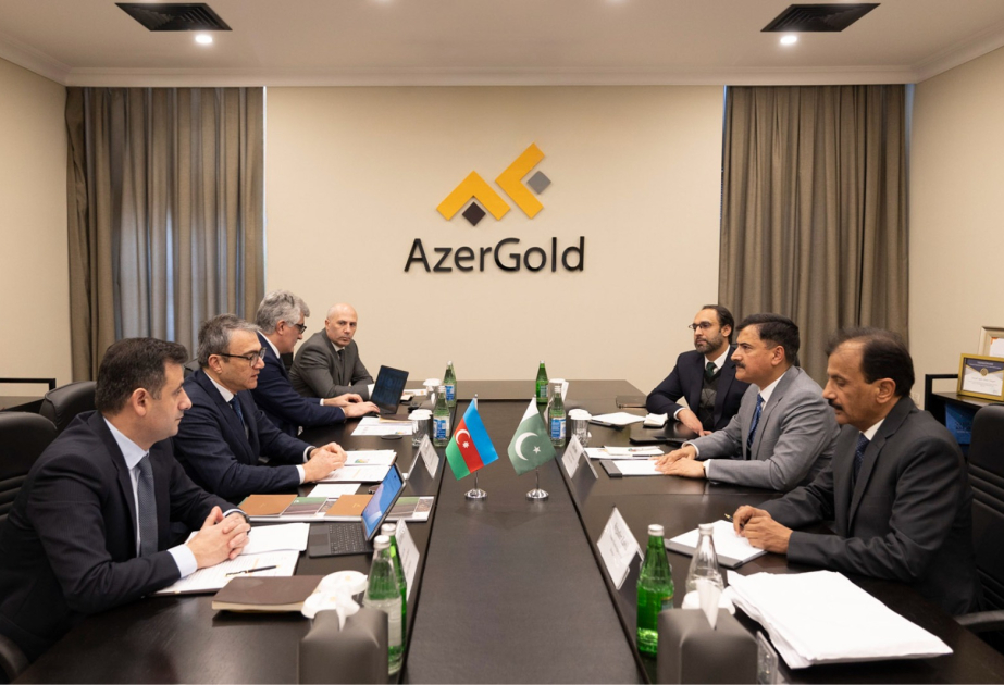 “AzerGold”da Pakistanın “Frontier Works Organization” şirkətinin nümayəndə heyəti ilə görüş keçirilib