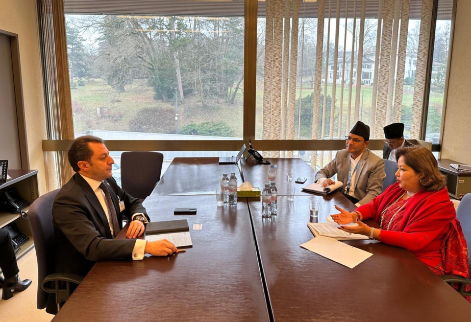 Xarici işlər nazirinin müavini Cenevrədə bir sıra görüşlər keçirib, əməkdaşlıq imkanları müzakirə olunub